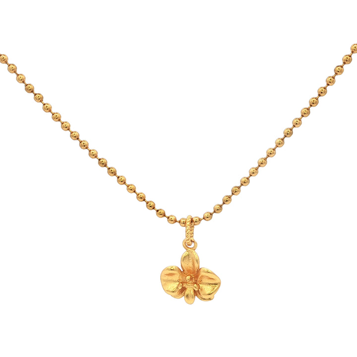 Orquídea Mágica